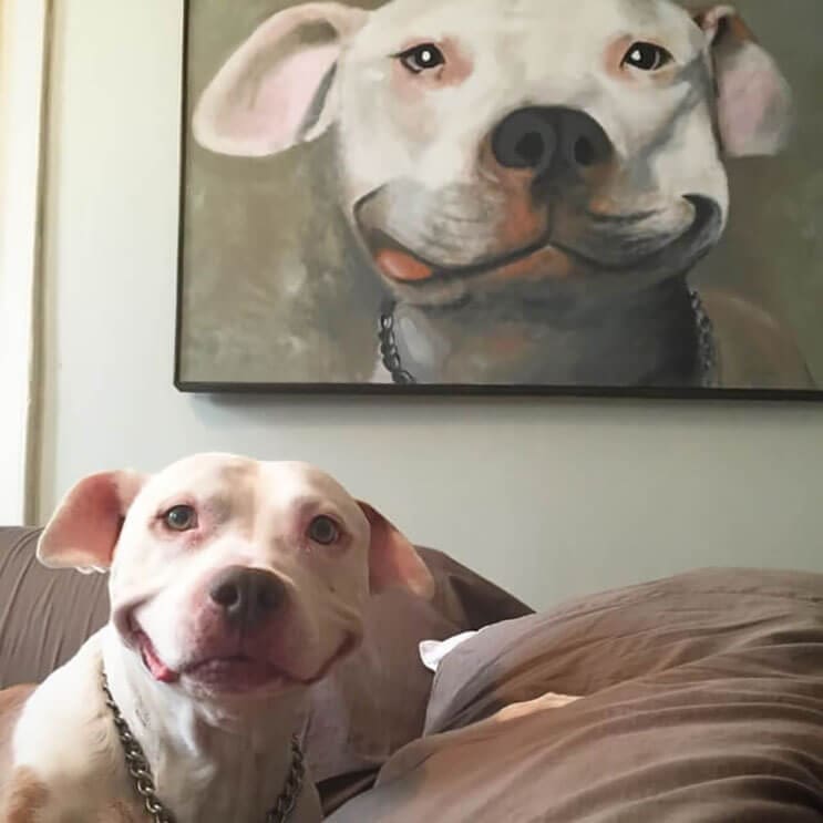 Este pitbull muestra lo feliz que está de tener un nuevo hogar 2
