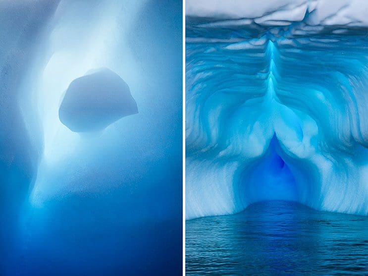 Imágenes impresionantes de un viaje en la Antártida 3