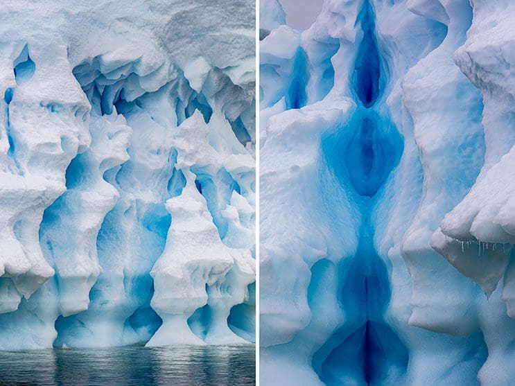 Imágenes impresionantes de un viaje en la Antártida 9