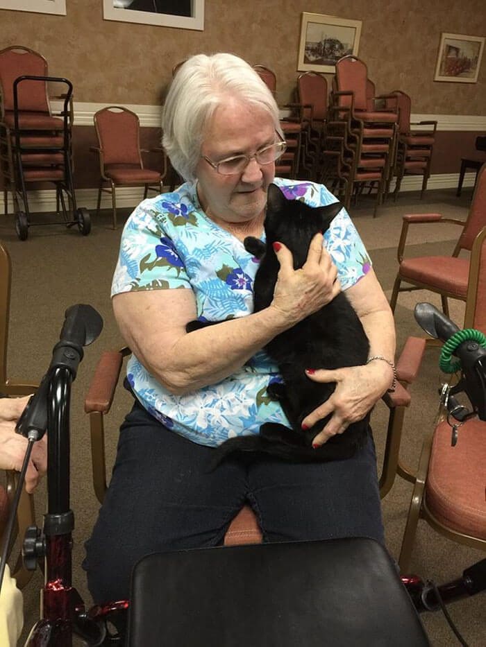 Increíble iniciativa que lleva amor a los adultos mayores a través de gatos adultos 03