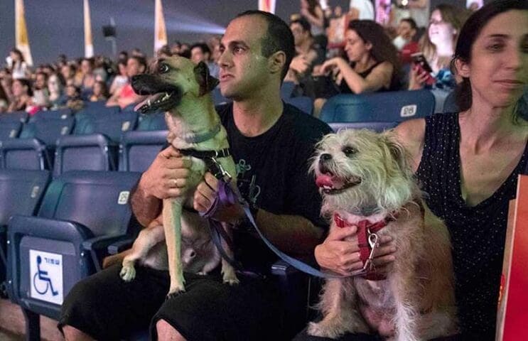 Ir al cine con tu mascota. En Israel ya es posible 4