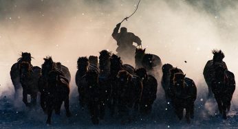 National Geographic: Los ganadores del concurso de fotografía 2016