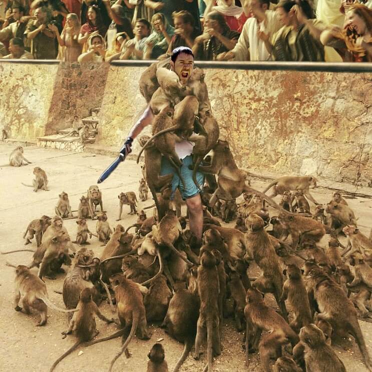 Un hombre quiso alimentar a los monos y le pasó esto. Por si fuera poco, el Photoshop también lo agarró 09
