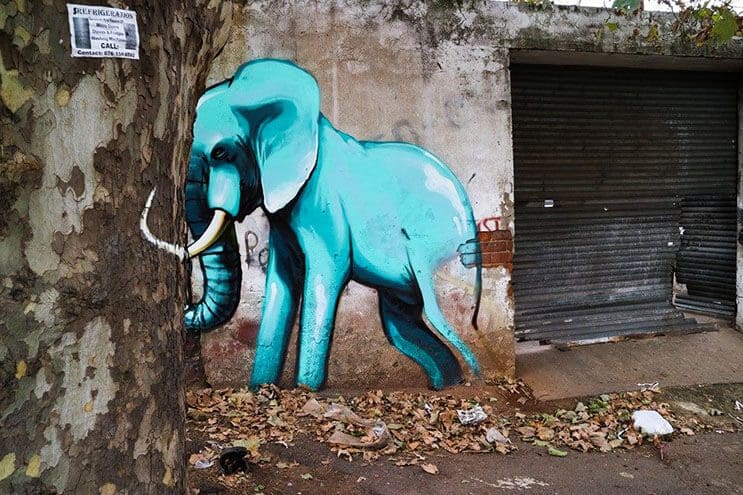 Una serie de graffitis de elefantes buscan dar esperanza a Sudáfrica 2