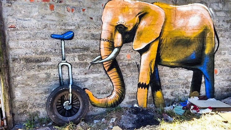 Una serie de graffitis de elefantes buscan dar esperanza a Sudáfrica 6