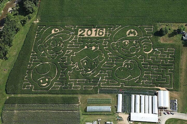 Una granja de Nueva York rinde homenaje a Mario Bros con un enorme laberinto 01