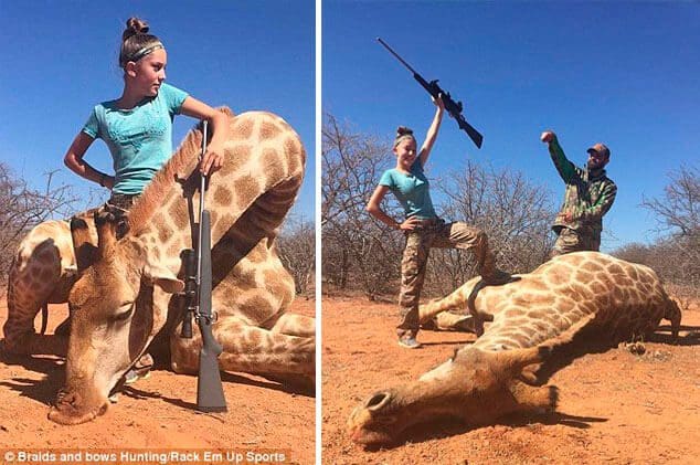 caza de jirafas