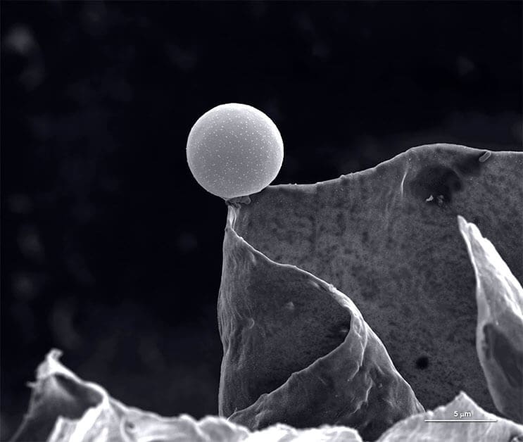 asombrosas-fotografias-ganadoras-del-concurso-de-la-royal-photographic-society-4