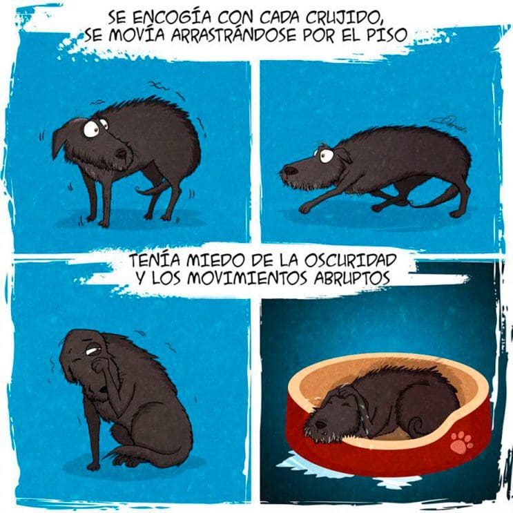 emotiva-ilustracion-nos-muestra-la-importancia-de-la-adopcion-de-animales-3