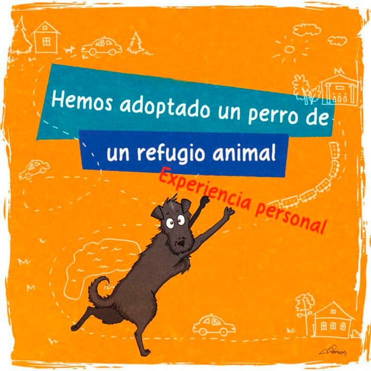 emotiva-ilustracion-nos-muestra-la-importancia-de-la-adopcion-de-animales