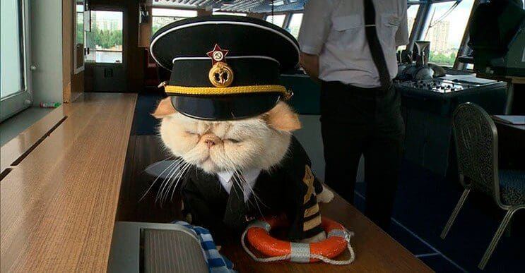 este-gato-se-convirtio-en-el-capitan-de-un-crucero-ruso-4