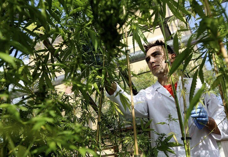 damian-marley-convertira-una-carcel-de-california-en-una-granja-de-marihuana-cientifico