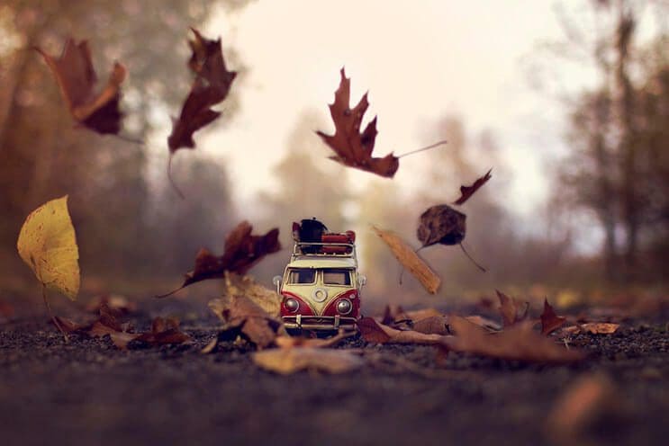 descubre-la-fotografia-en-miniatura-por-sandra-hudson-8