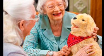 Hasbro se enfoca en la creación de perros robot para hacerles compañía a los ancianos