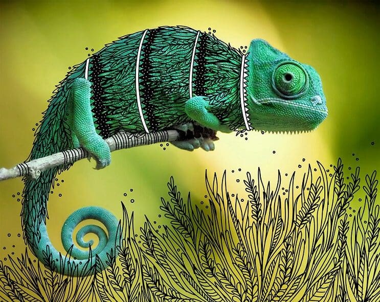 maravillosos-animales-convertidos-en-divertidos-doodles-camaleon
