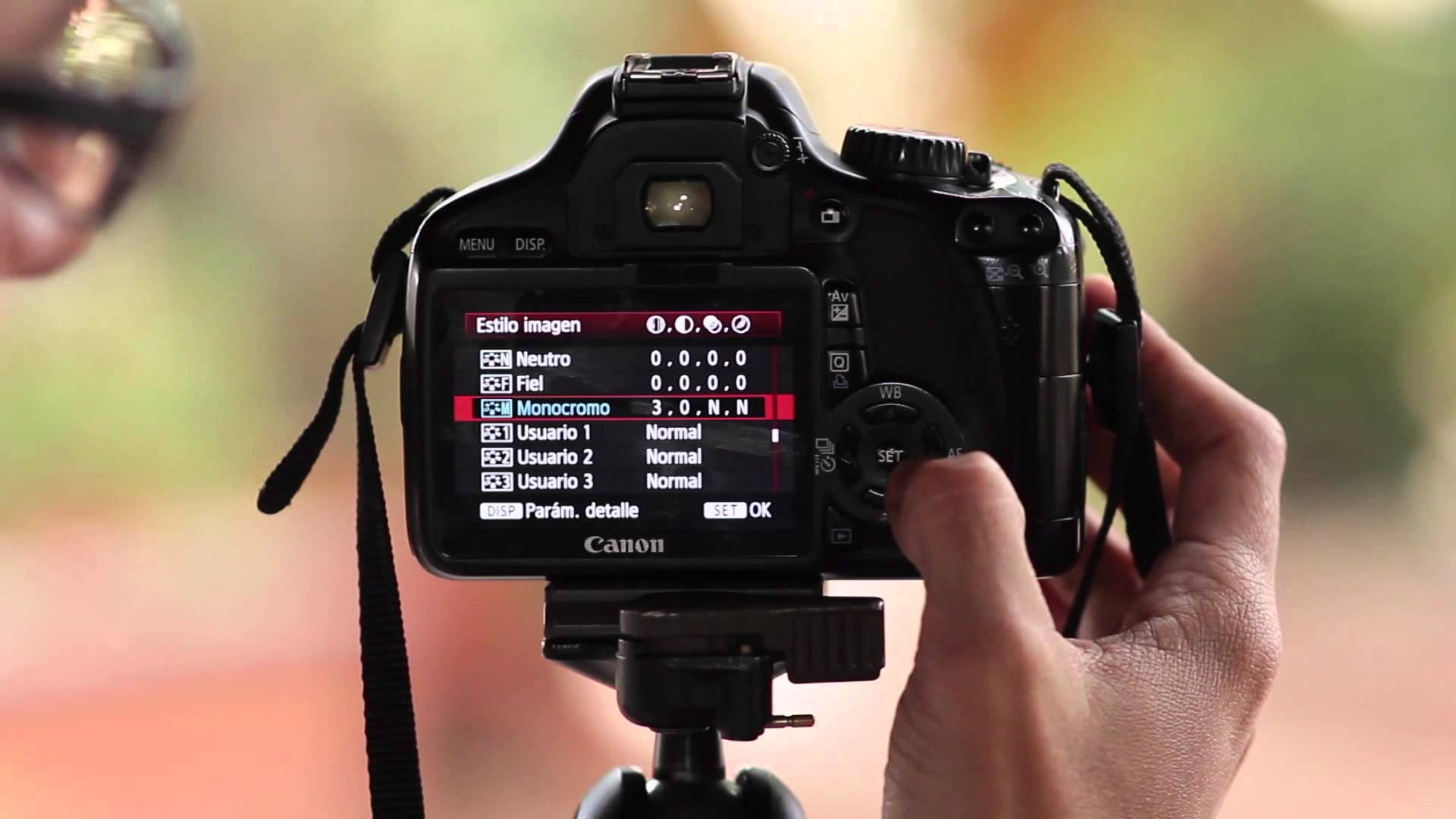 Los 10 mejores cursos de fotografía digital y profesional online Los 10 mejores cursos de fotografía digital y profesional online