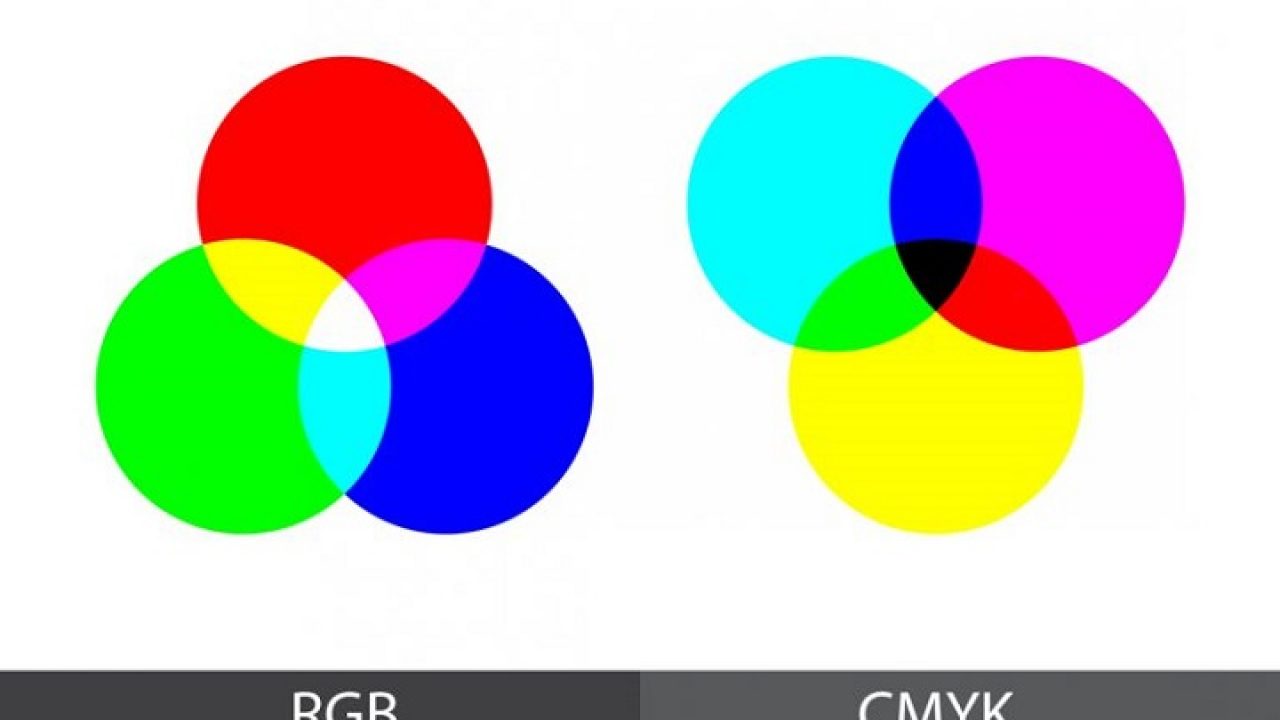 Teoría del Color: Lo que debes saber para elegir el color del logo de tu  empresa