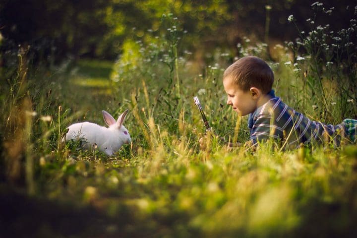 niño foto conejo