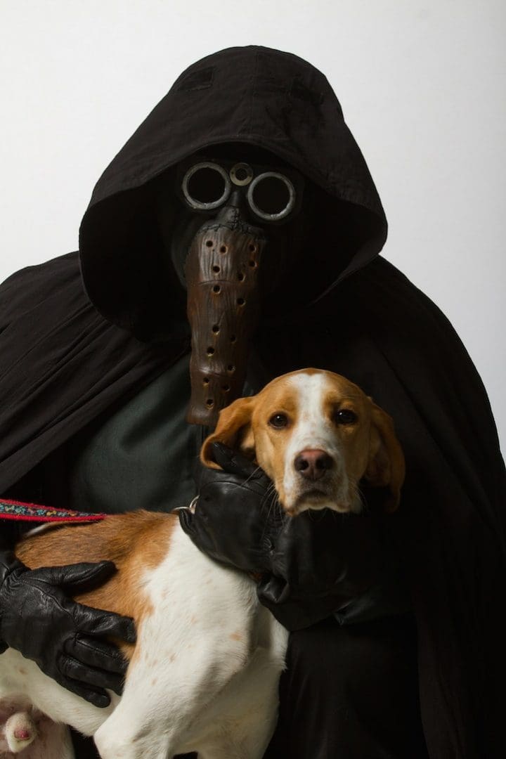 perro y Star Wars