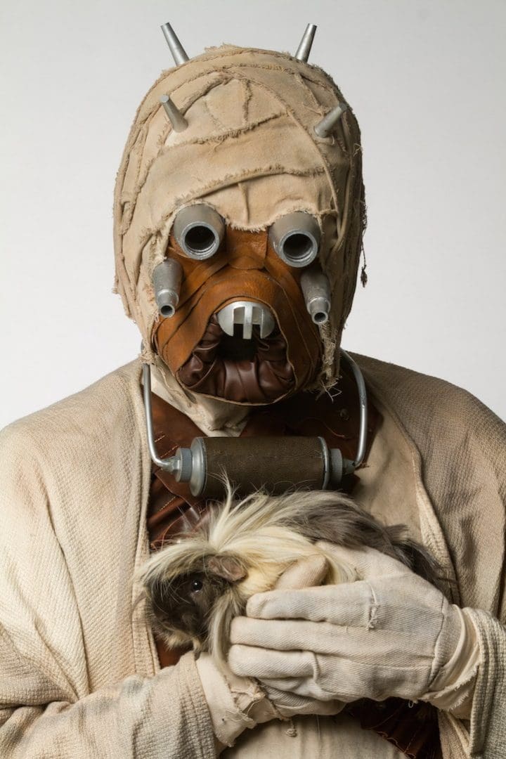 Disfraz Star Wars perro