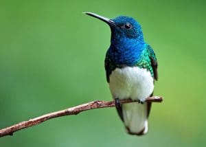 mejores regalos para fotógrafos