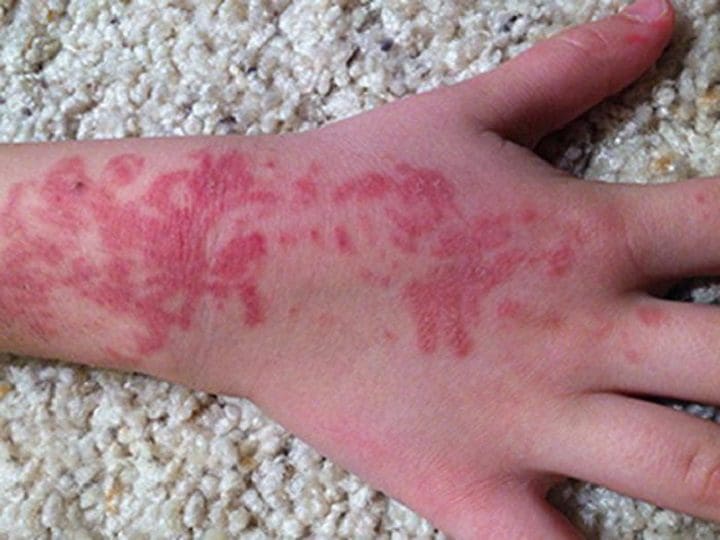 Sentimiento de culpa Trampas Opcional Qué son los tatuajes temporales de henna y cómo prepararlos?