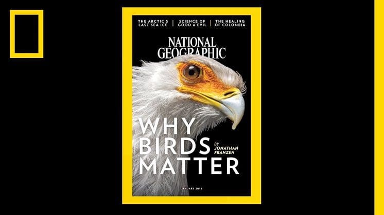 Un vídeo de todas las portadas de la revista National Geographic