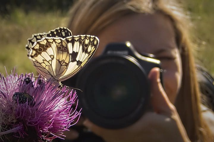 como sacar fotografía de mariposas