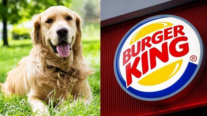 campaña Burger King perro guía