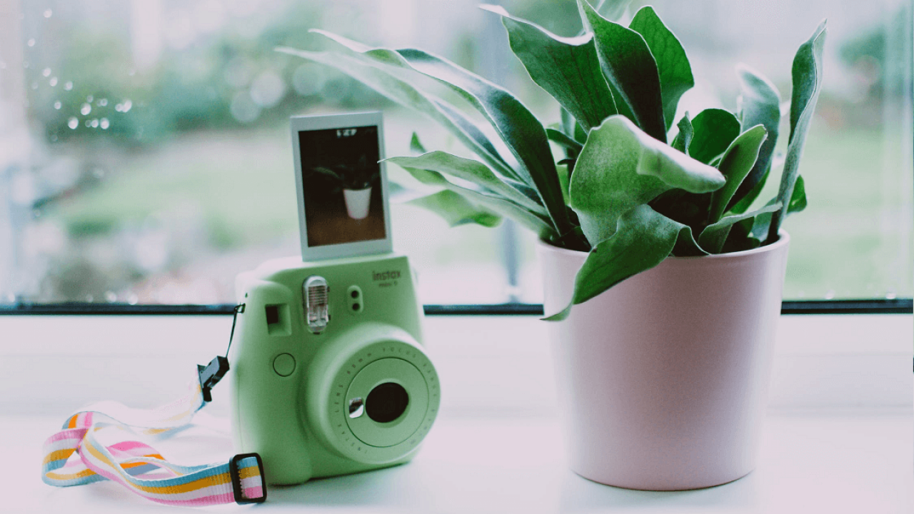 Mejores cámaras instantáneas tipo Polaroid que puedes comprar