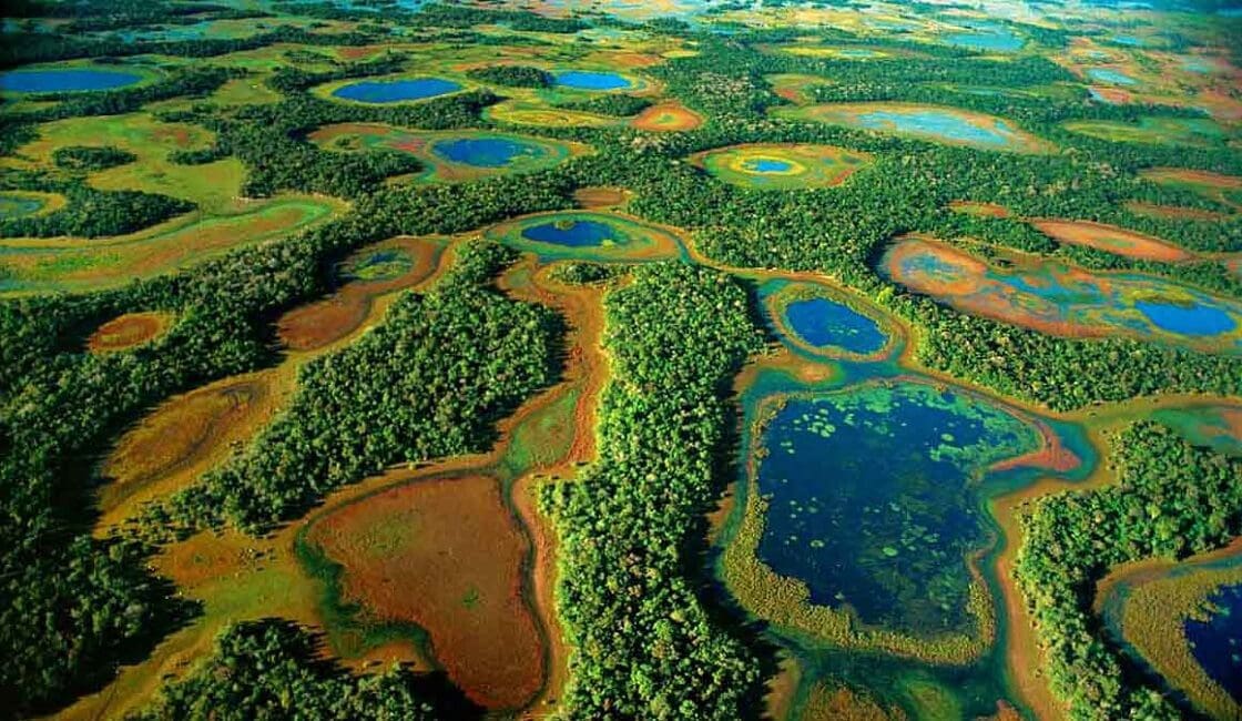 Paisajes hermosos en El Gran Pantanal