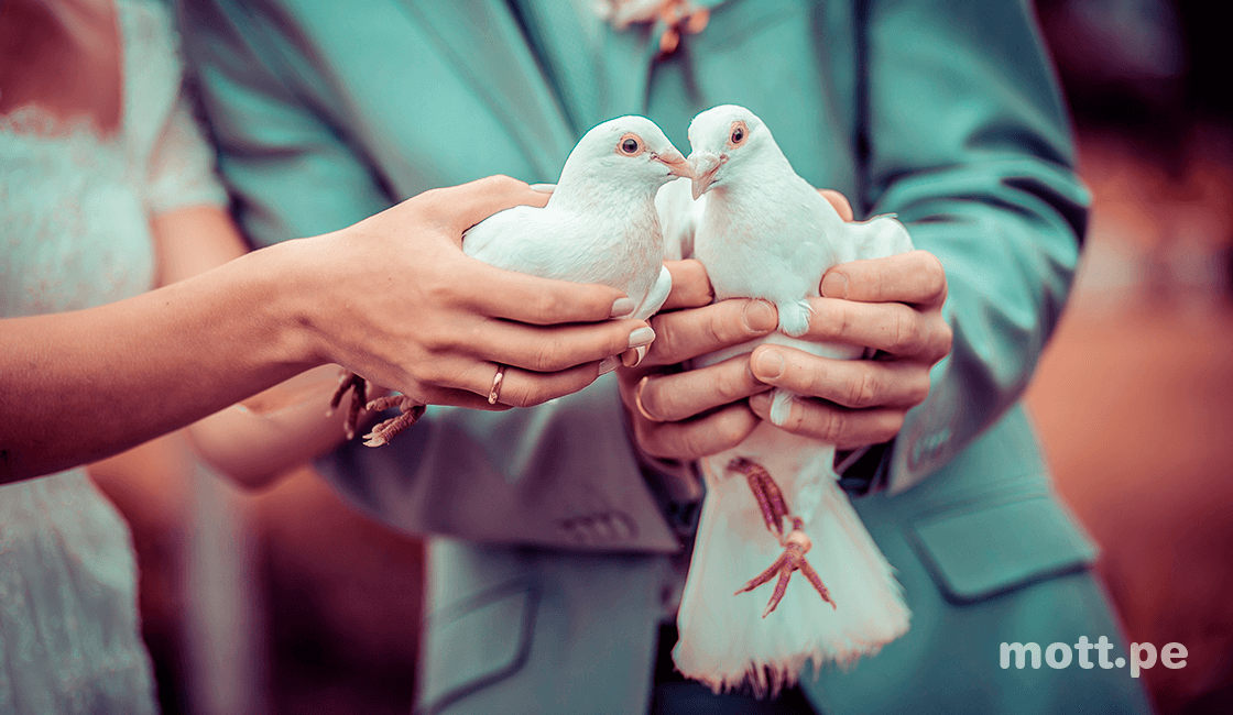 Elige al centro de interés de tus fotos para matrimonio