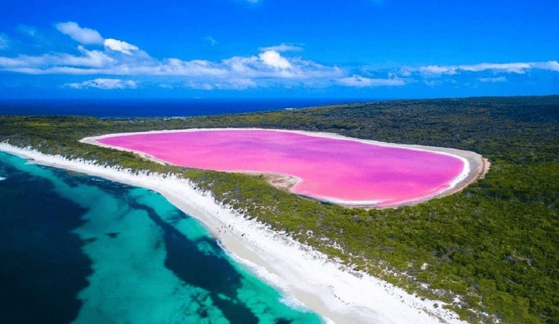 El Lago Hillier y sus paisajes hermosos  Imágenes de paisajes reales de Australia