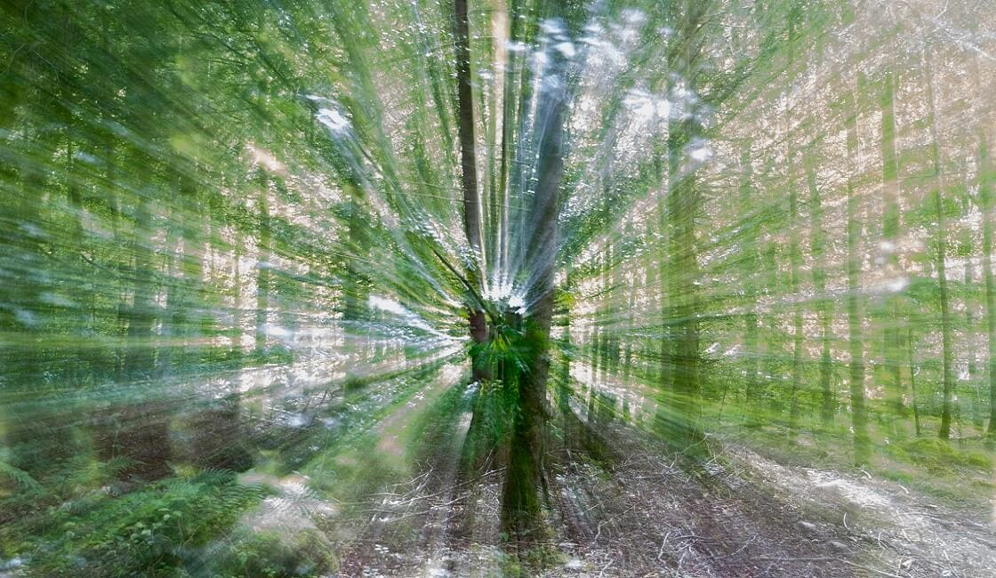 técnica de Zooming para imagenes en movimiento técnica de Zooming para fotografias
