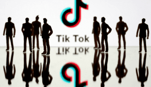 Vandalismo a causa de reto de TikTok