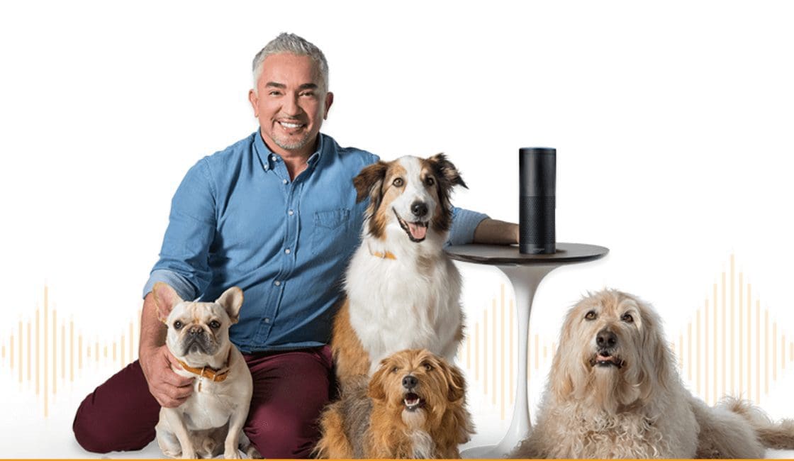 audible for dogs streaming para mascotas