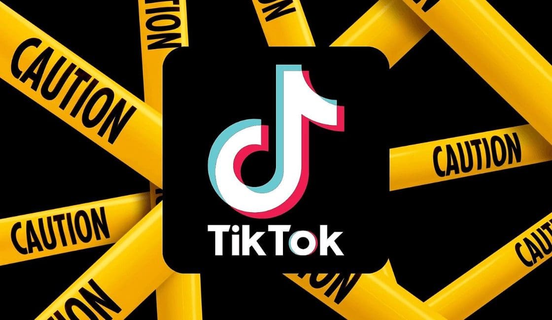 TikTok es dañino para el ecosistema digital