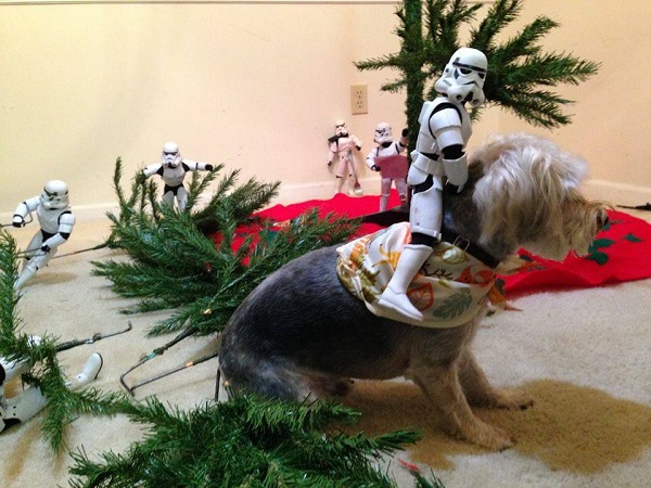 perro navidad de los stormtroopers