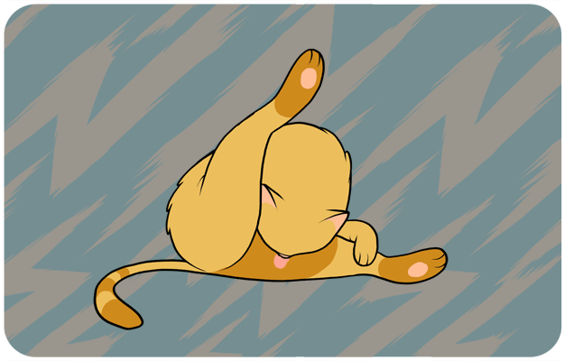 gato levantar pata