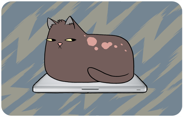gato en la computadora